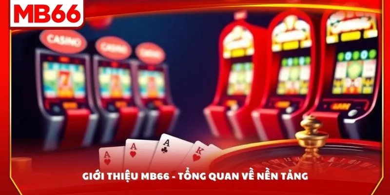Giới thiệu MB66 - tổng quan về nền tảng
