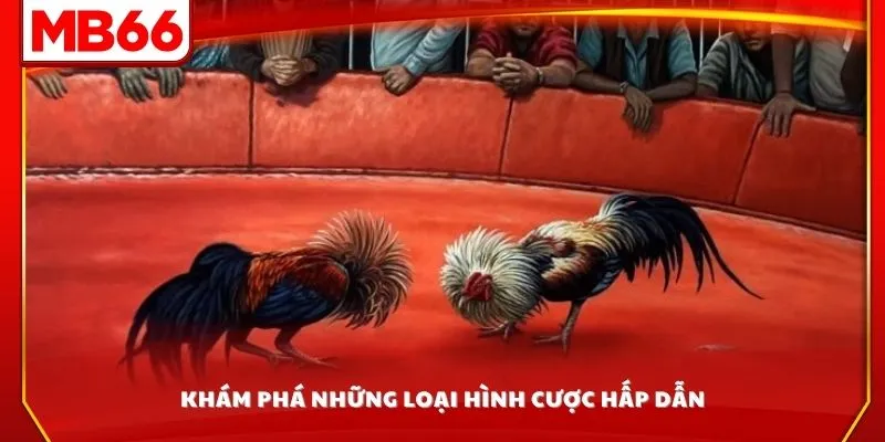 Khám phá những loại hình cược hấp dẫn