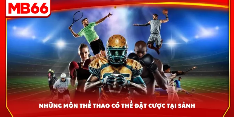 Những môn thể thao có thể đặt cược tại sảnh