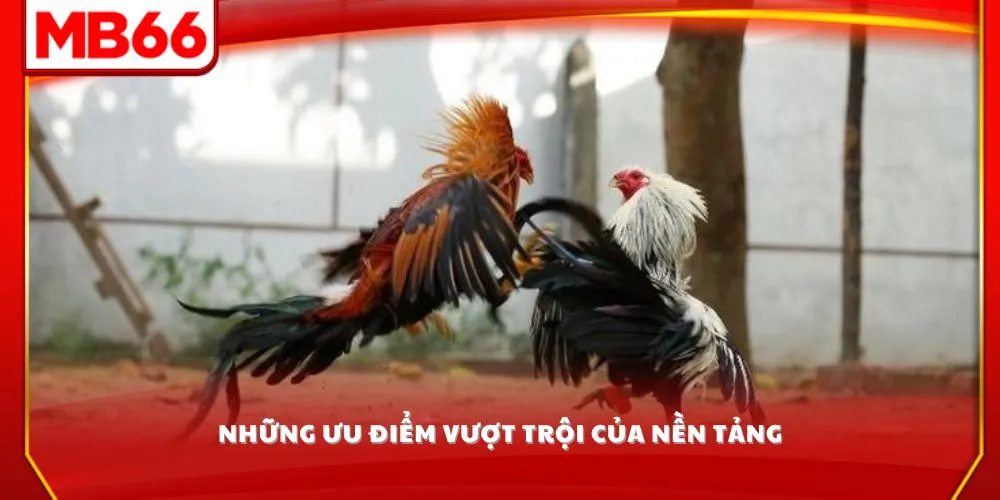 Những ưu điểm vượt trội của nền tảng