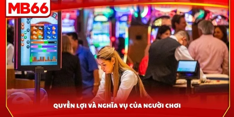 Quyền lợi và nghĩa vụ của người chơi