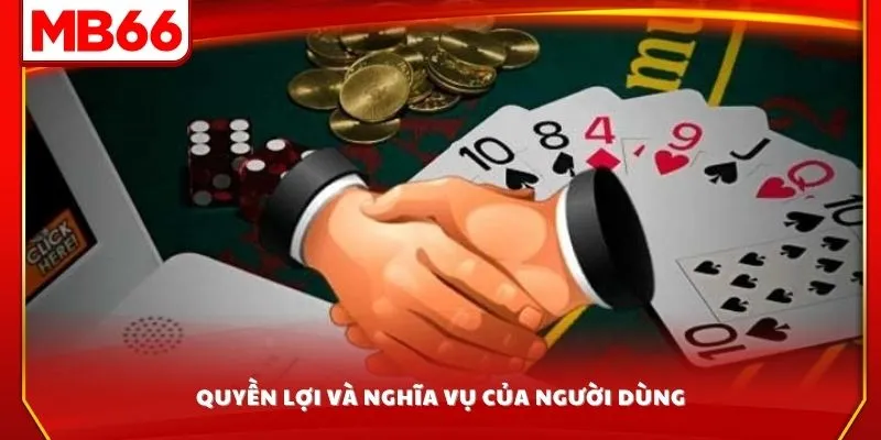 Quyền lợi và nghĩa vụ của người dùng