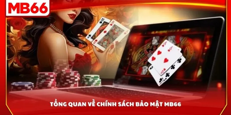 Tổng quan về chính sách bảo mật MB66