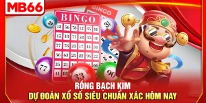 Rồng Bạch Kim – Dự Đoán Xổ Số Siêu Chuẩn Xác Hôm Nay