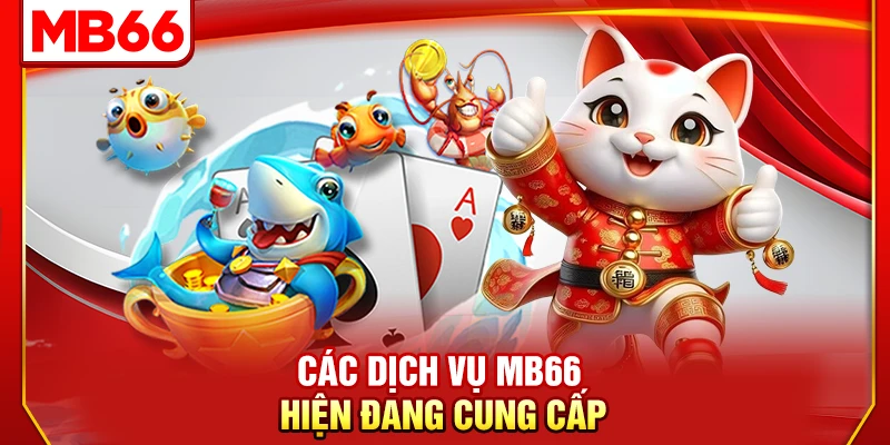 Các dịch vụ MB66 hiện đang cung cấp