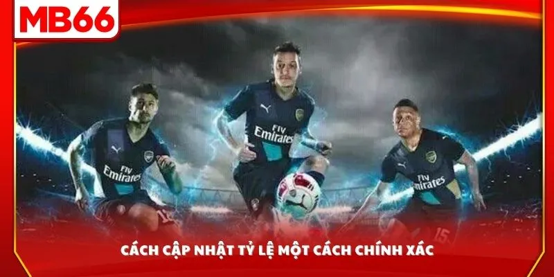 Cách cập nhật tỷ lệ một cách chính xác