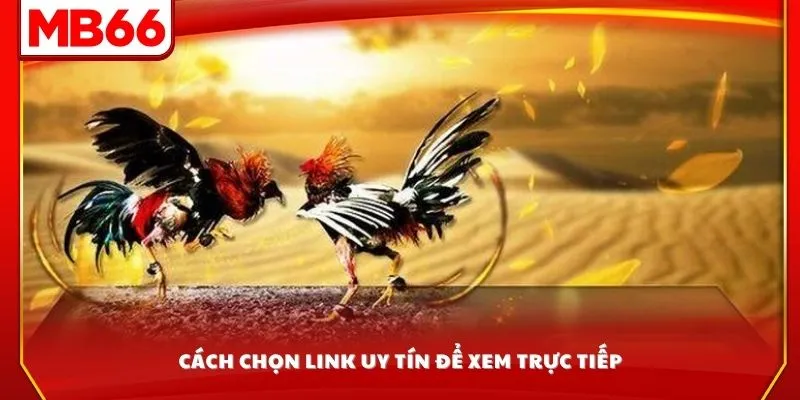 Cách chọn link uy tín để xem trực tiếp