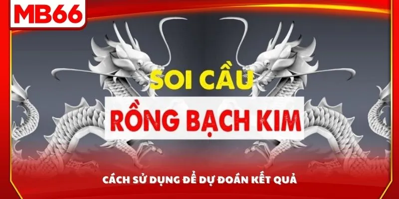 Cách sử dụng để dự đoán kết quả