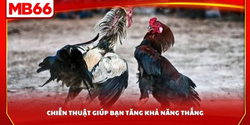 Chiến thuật giúp bạn tăng khả năng thắng