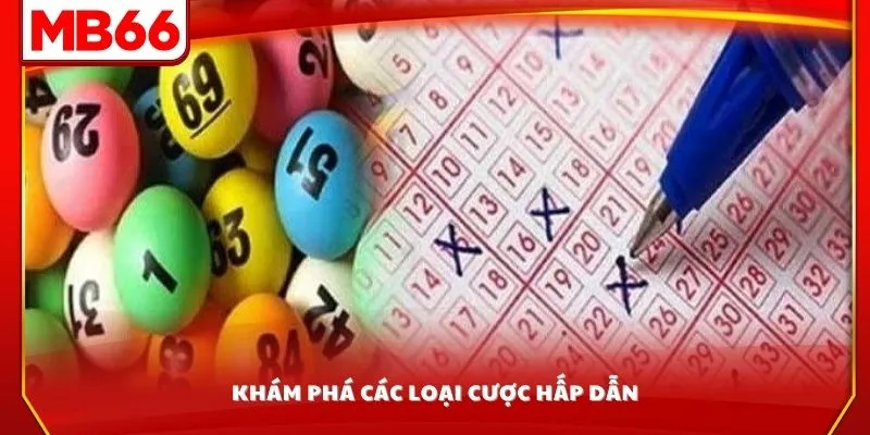 Khám phá các loại cược hấp dẫn