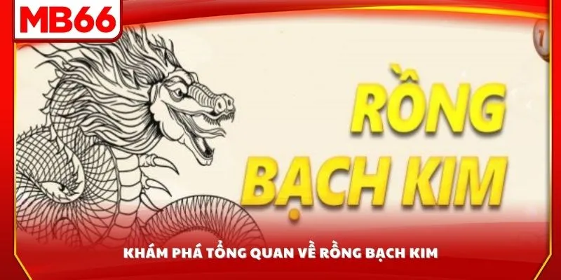 Khám phá tổng quan về Rồng Bạch Kim