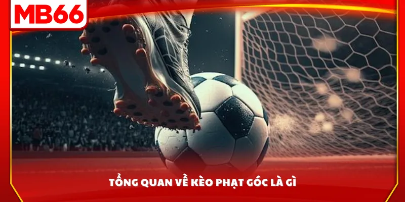Tổng quan về kèo phạt góc là gì?